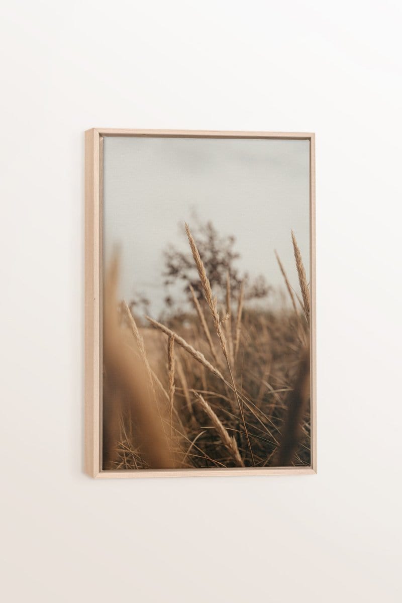 WHEAT, Work on stretched canvas