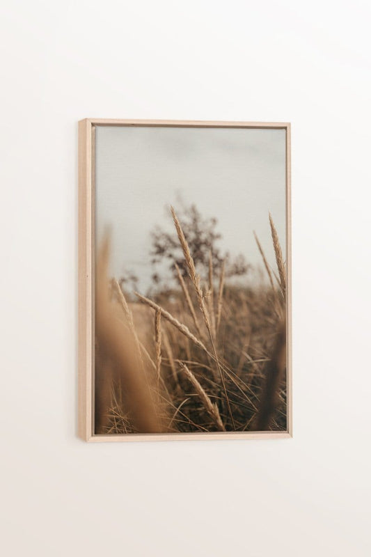 WHEAT, Work on stretched canvas