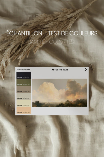 AFTER THE RAIN, Oeuvre sur toile étirée, encadré Blanc