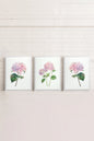 BLOSSOMING TRIO (3 works on stretched canvas)