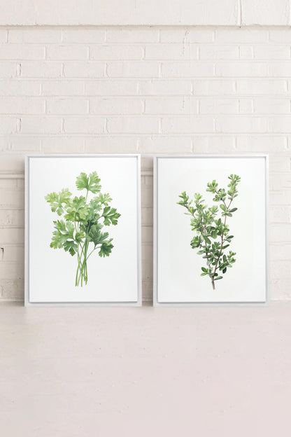 DUO FINES HERBES (2 Works on stretched canvas)