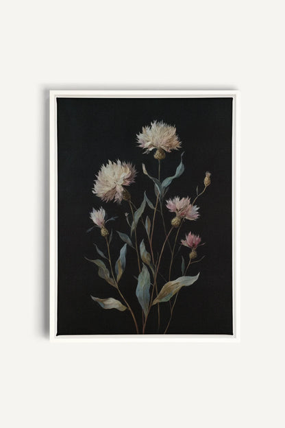BLUSH FLORA, Oeuvre sur toile étirée, encadré Blanc