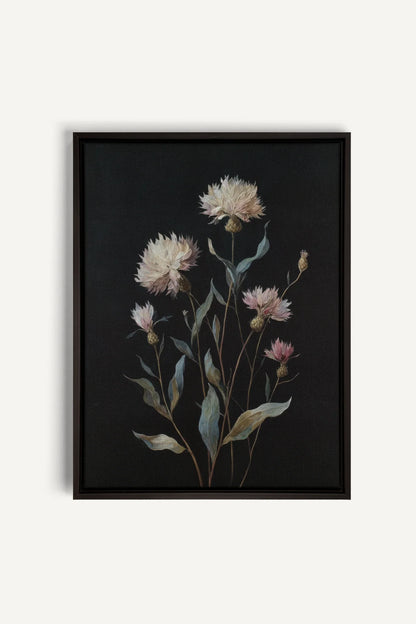 BLUSH FLORA, Oeuvre sur toile étirée, encadré Noir