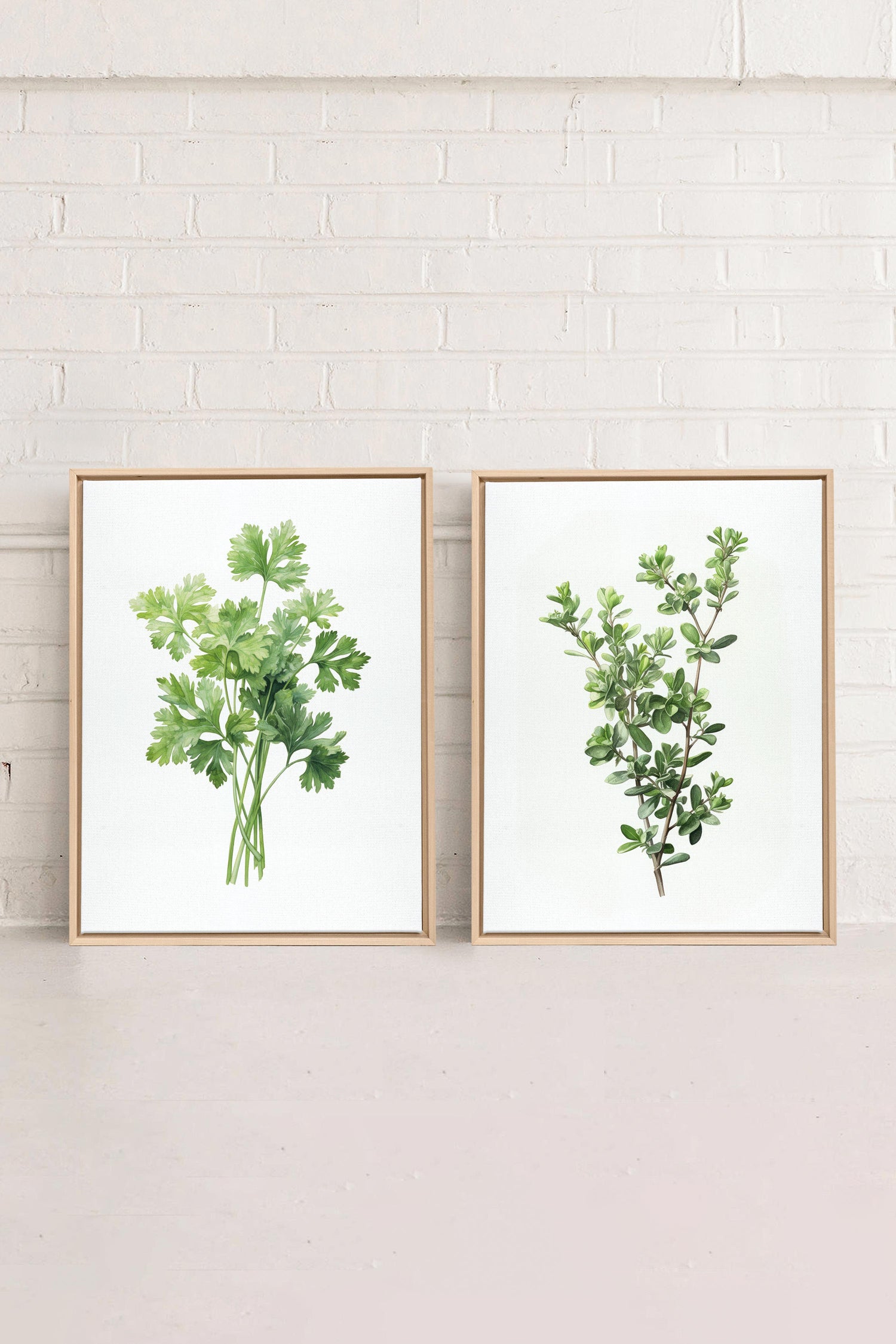 DUO FINES HERBES, 2 Oeuvres sur toile étirée, encadré Naturel Clair