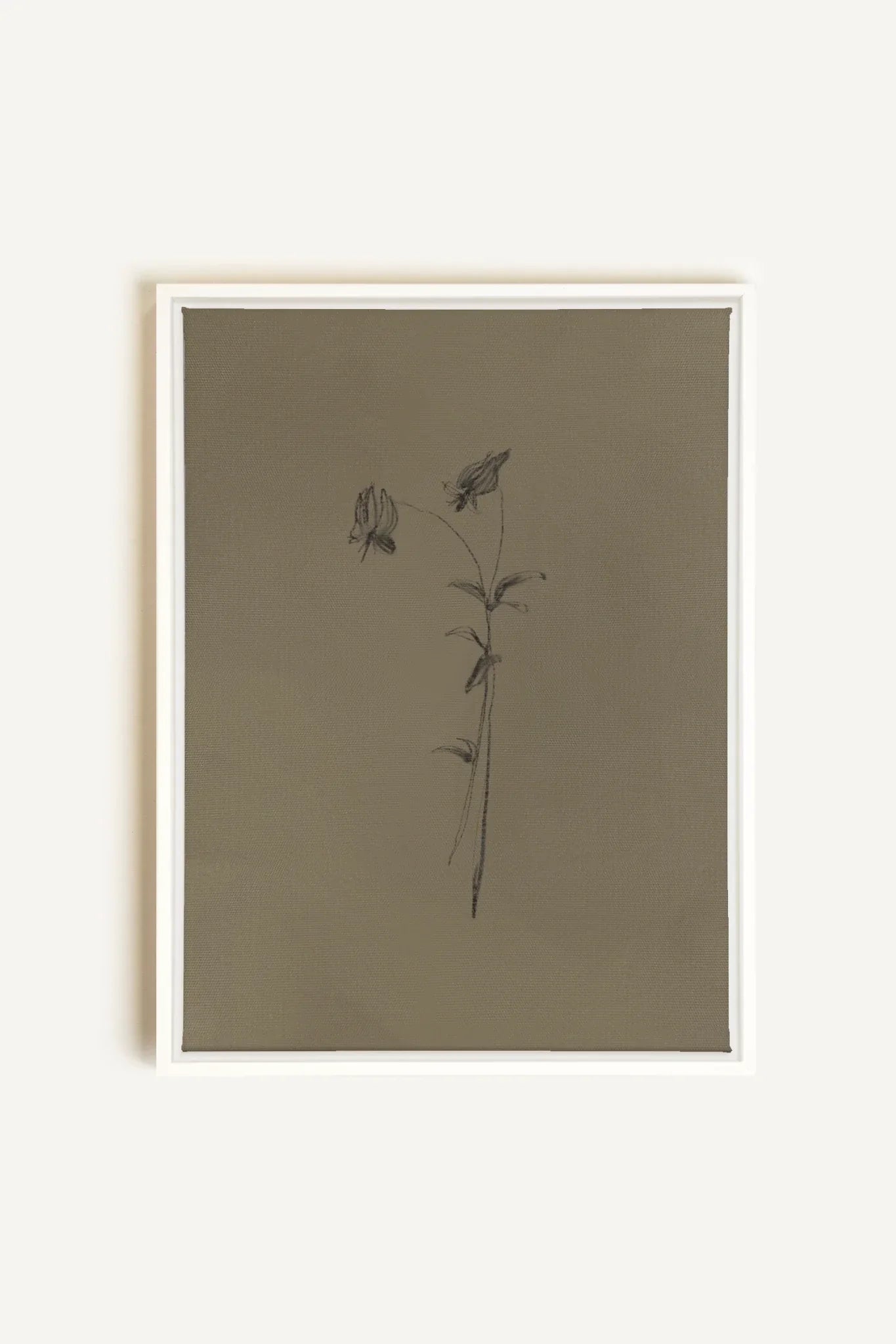 OLEKA CANVAS - BOUTON SAUVAGE, Oeuvre sur toile étirée, encadré Blanc