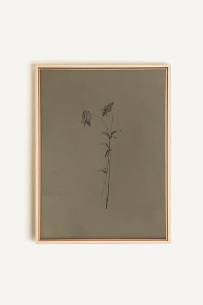 OLEKA CANVAS - BOUTON SAUVAGE, Oeuvre sur toile étirée, encadré Naturel Clair