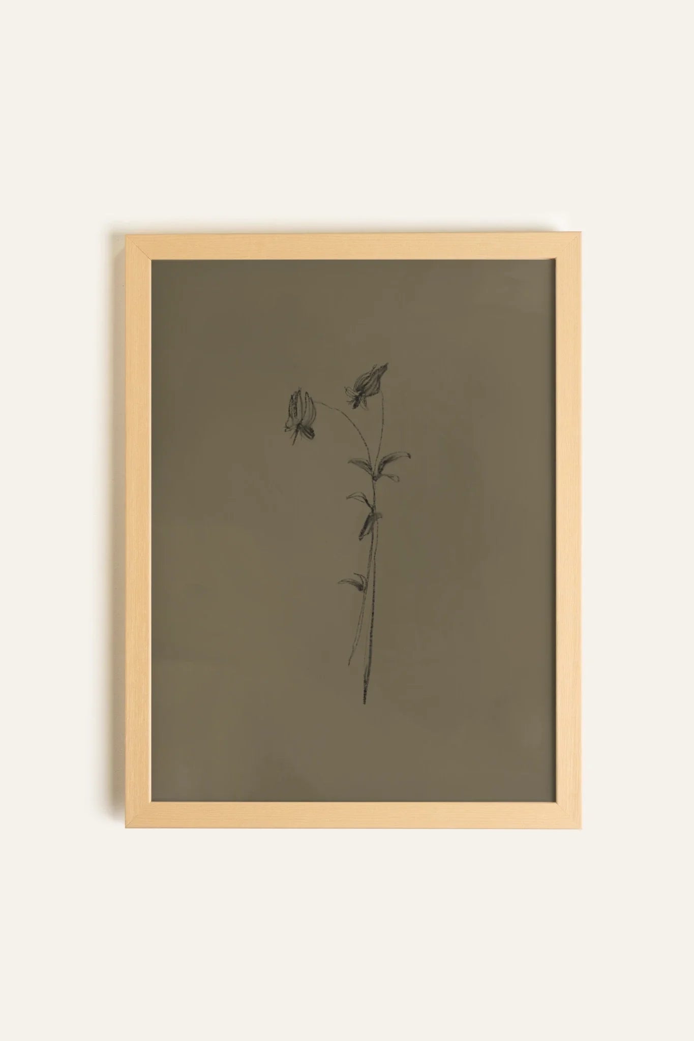 BOUTON SAUVAGE, Toile Rigide