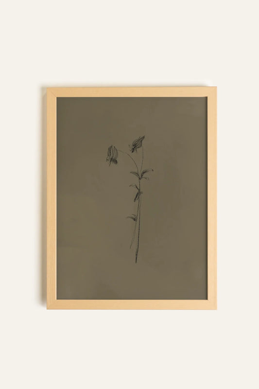 BOUTON SAUVAGE, Toile Rigide