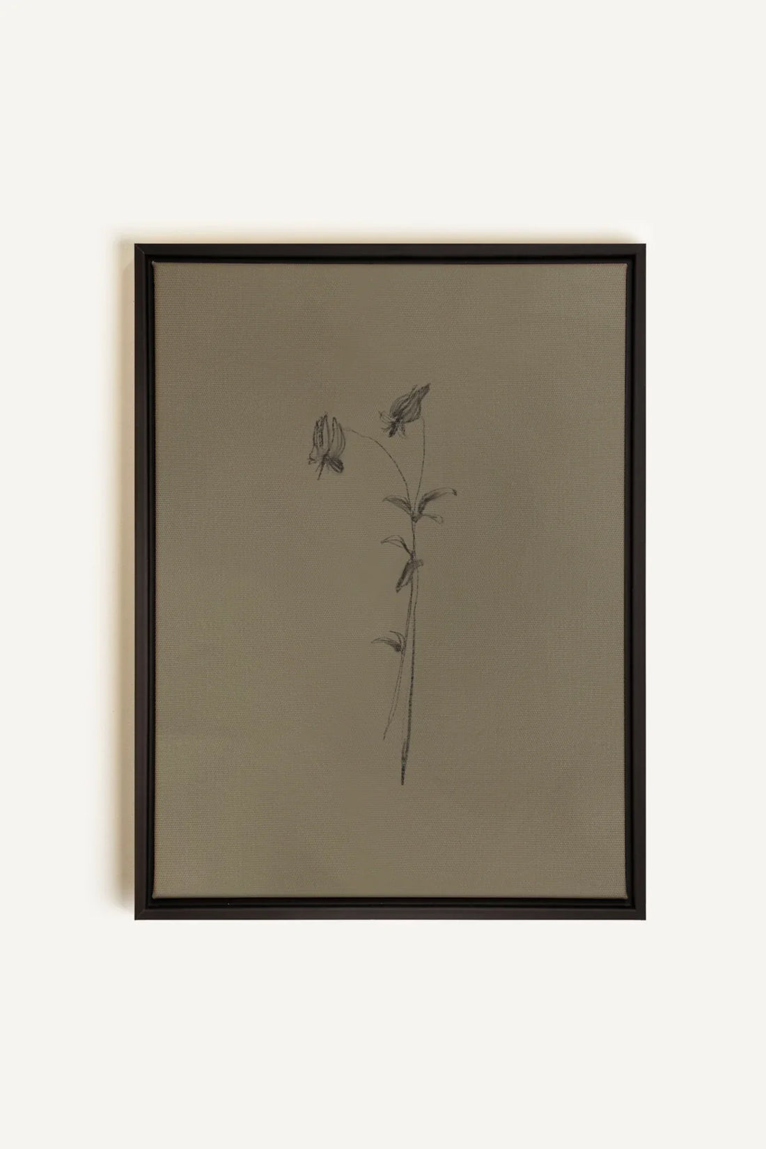 OLEKA CANVAS - BOUTON SAUVAGE, Oeuvre sur toile étirée, encadré Noir