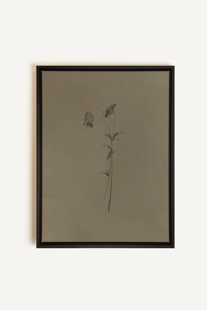 OLEKA CANVAS - BOUTON SAUVAGE, Oeuvre sur toile étirée, encadré Noir
