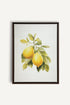 OLEKA CANVAS - BRANCH OF ZEST, Oeuvre sur toile étirée, encadré Brun Noyer