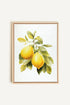 OLEKA CANVAS - BRANCH OF ZEST, Oeuvre sur toile étirée, encadré Naturel Clair