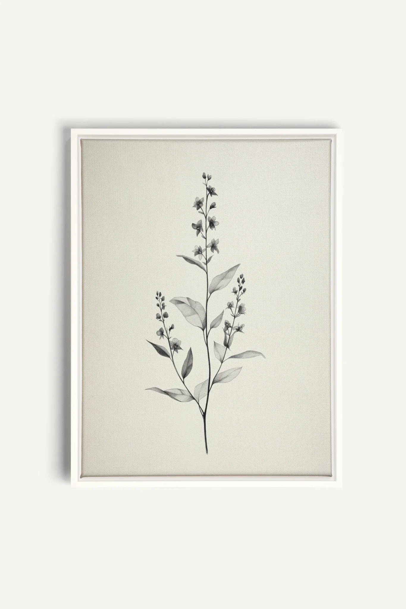 BRANCHE LÉGÈRE, Oeuvre sur toile étirée, encadré Blanc