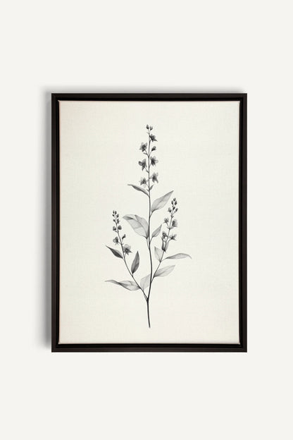 BRANCHE LÉGÈRE, Oeuvre sur toile étirée, encadré Noir