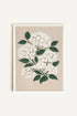 OLEKA CANVAS - BRISE DE FLEURS, Oeuvre sur toile étirée, encadré Blanc
