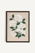 OLEKA CANVAS - BRISE DE FLEURS, Oeuvre sur toile étirée, encadré Noir