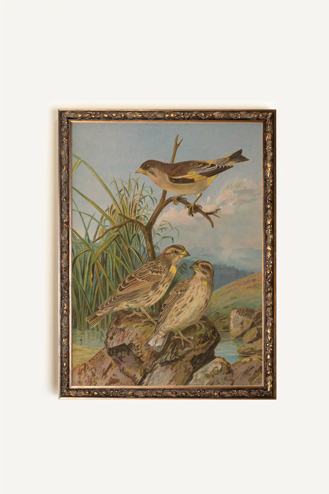 CHANT DES ROSEAUX, Oeuvre sur toile rigide, encadré Vintage Bronze