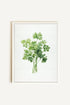 OLEKA CANVAS - CILANTRO, Oeuvre sur toile étirée, encadré Blanc