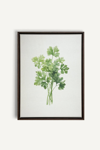 OLEKA CANVAS - CILANTRO, Oeuvre sur toile étirée, encadré Brun Noyer