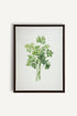 OLEKA CANVAS - CILANTRO, Oeuvre sur toile étirée, encadré Brun Noyer