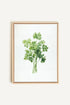 OLEKA CANVAS - CILANTRO, Oeuvre sur toile étirée, encadré Naturel Clair