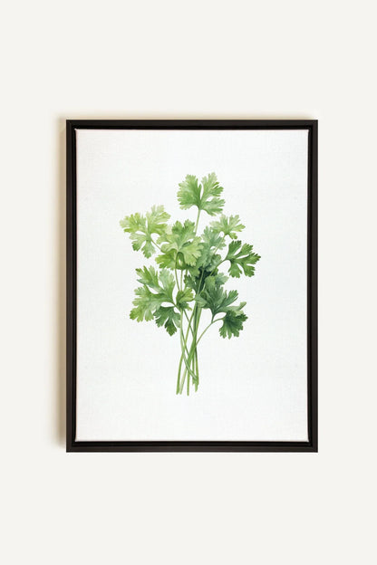 OLEKA CANVAS - CILANTRO, Oeuvre sur toile étirée, encadré Noir