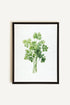OLEKA CANVAS - CILANTRO, Oeuvre sur toile étirée, encadré Noir
