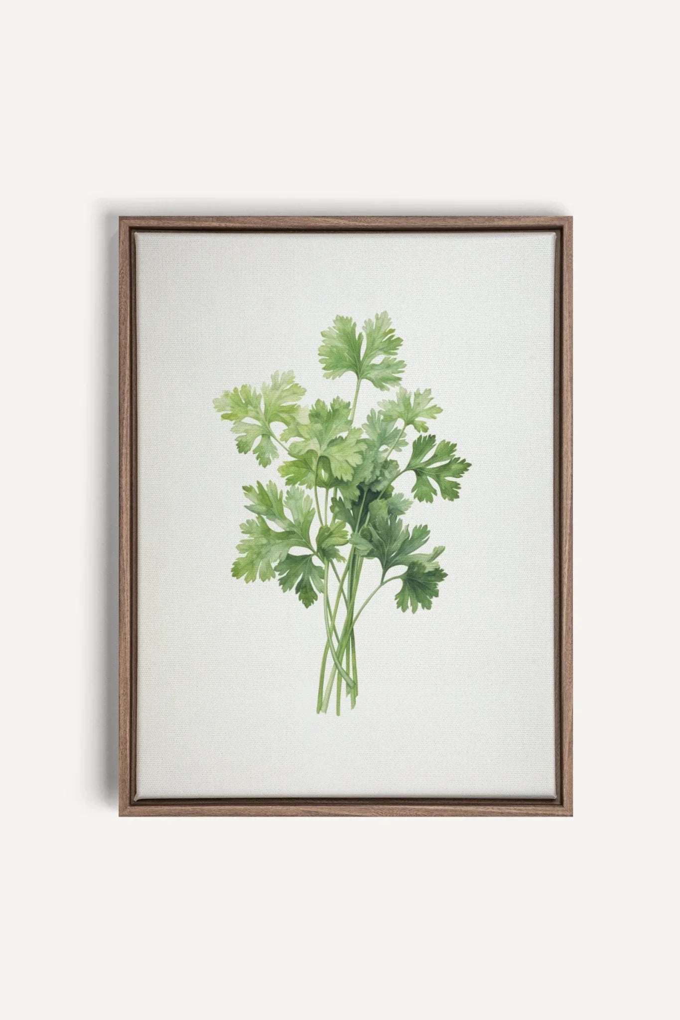 OLEKA CANVAS - CILANTRO, Oeuvre sur toile étirée, encadré Brun Chêne