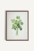 OLEKA CANVAS - CILANTRO, Oeuvre sur toile étirée, encadré Brun Chêne