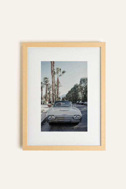CLASSIC PALM RIDE, Toile Rigide