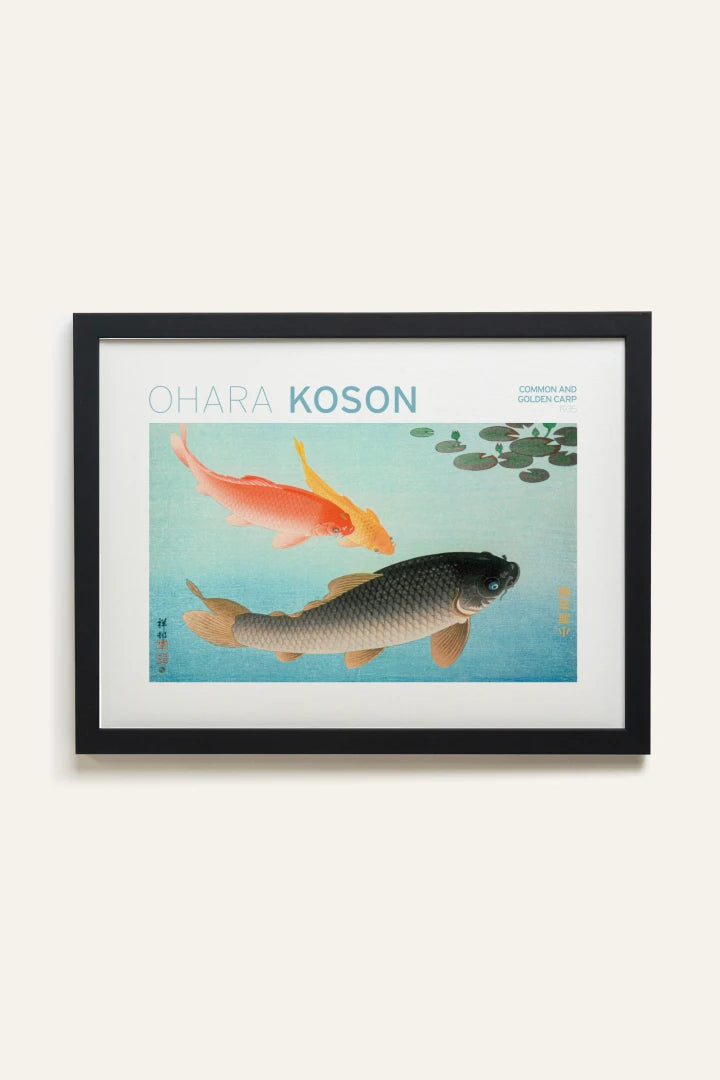 COMMON &amp; GOLDEN CARP, Toile Rigide
