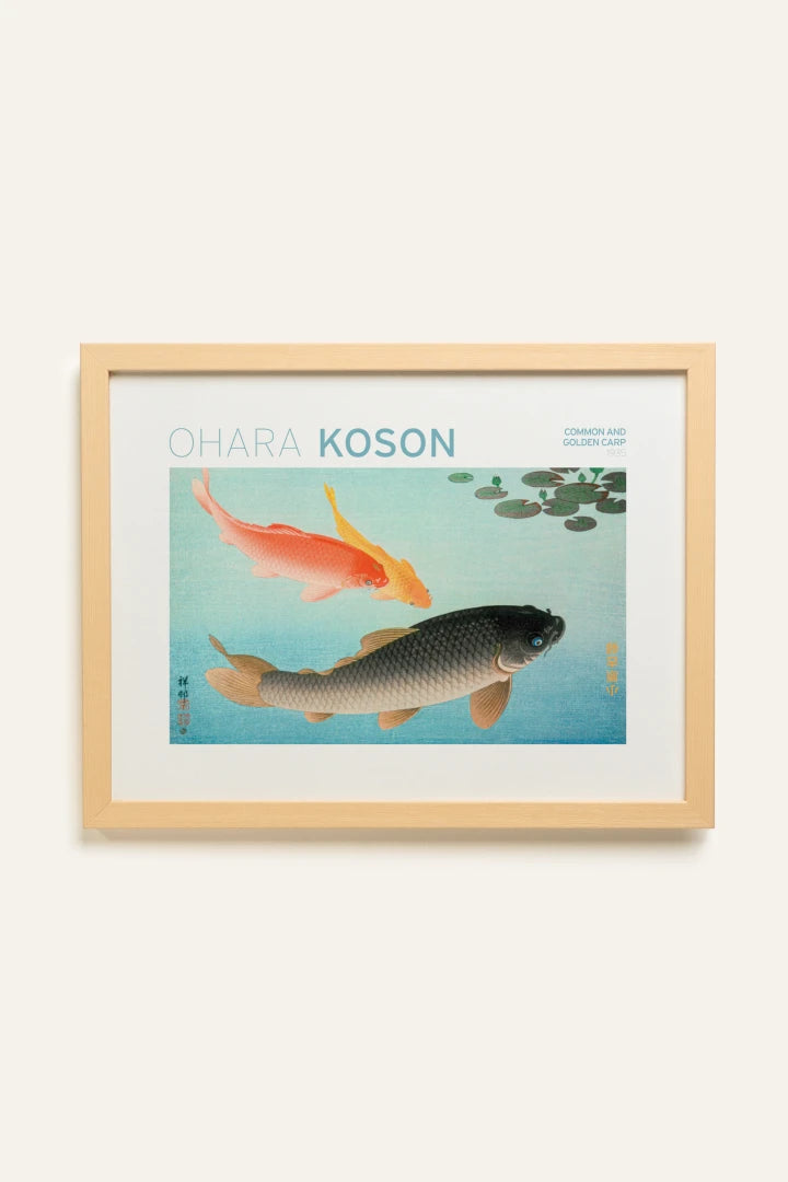 COMMON &amp; GOLDEN CARP, Toile Rigide