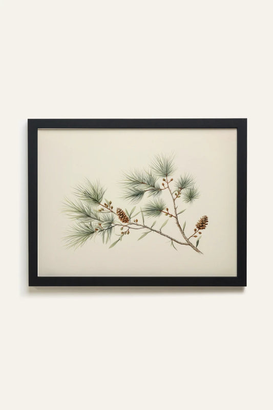 Conifer Branch, Toile Rigide