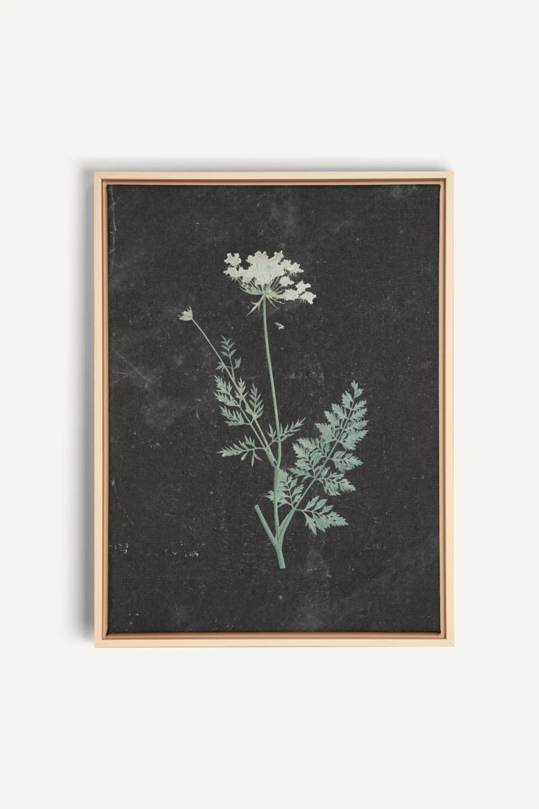 DENTELLE SAUVAGE, Work on stretched canvas, framed Naturel Clair