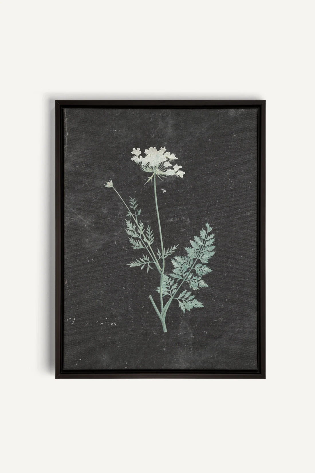 DENTELLE SAUVAGE, Oeuvre sur toile étirée, encadré Noir