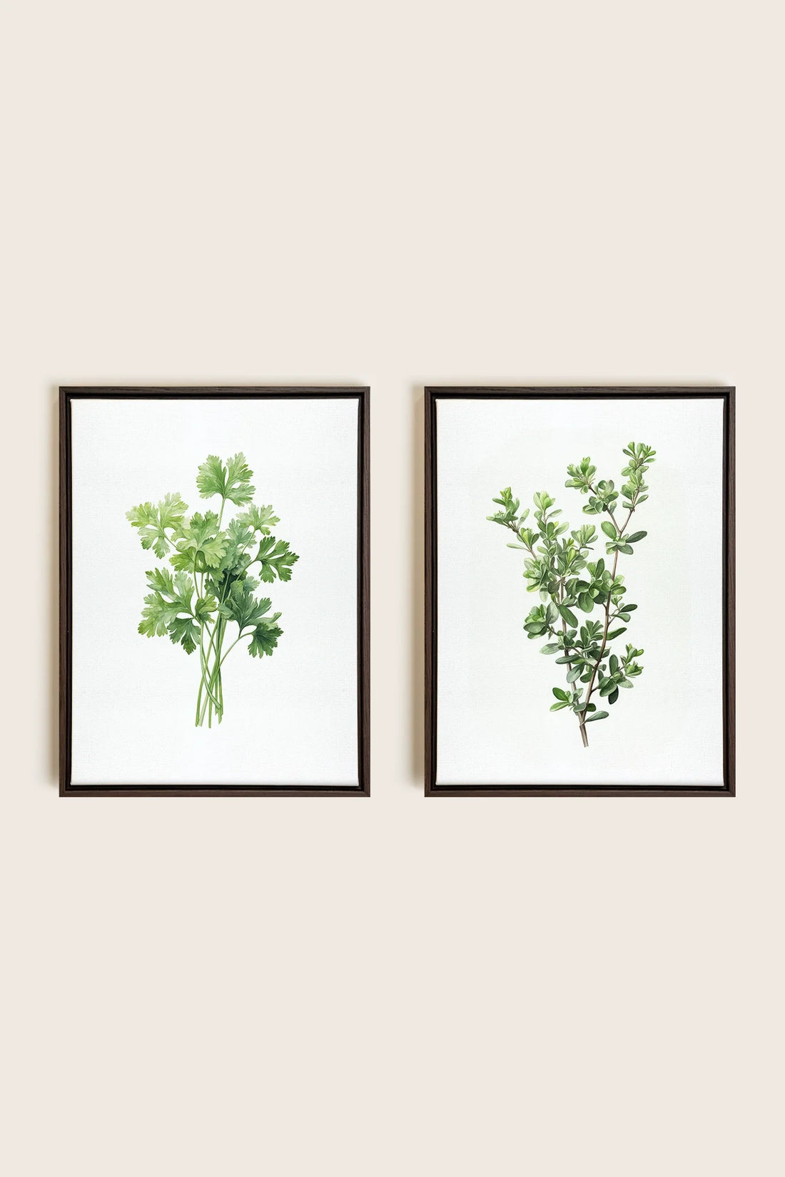 DUO FINES HERBES, 2 Oeuvres sur toile étirée, encadré Brun Noyer