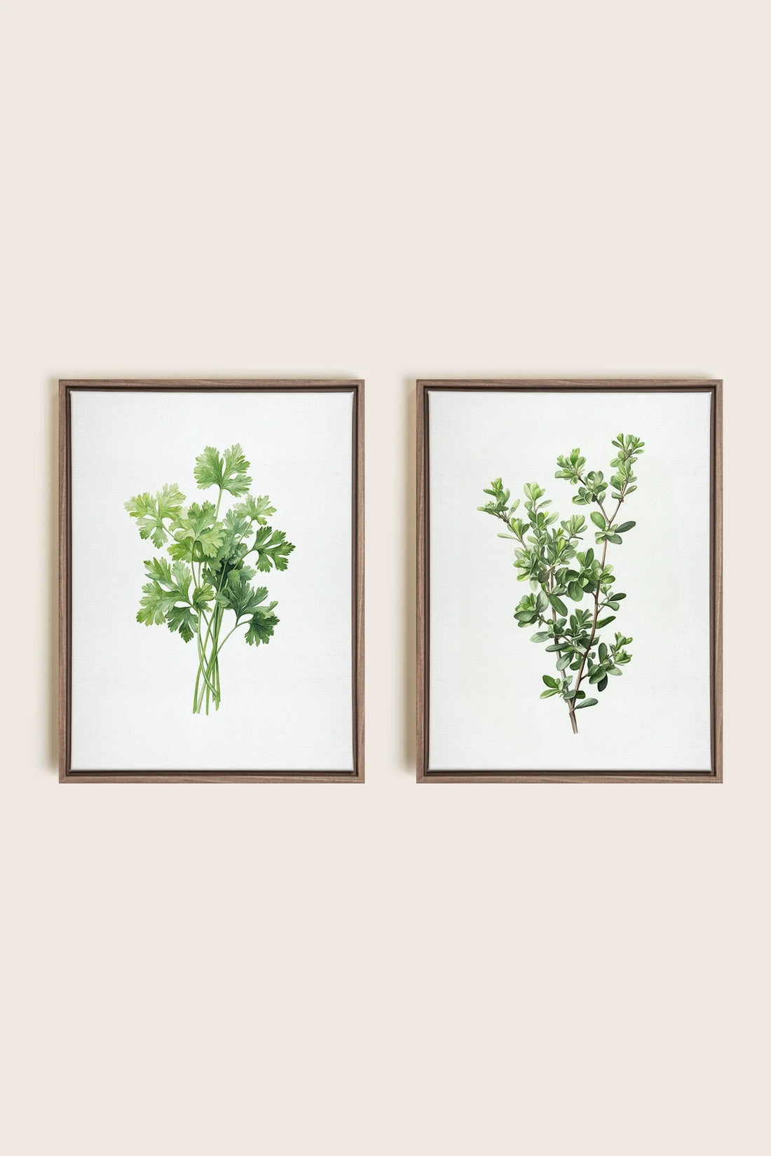 DUO FINES HERBES, 2 Oeuvres sur toile étirée, encadré Brun Chêne