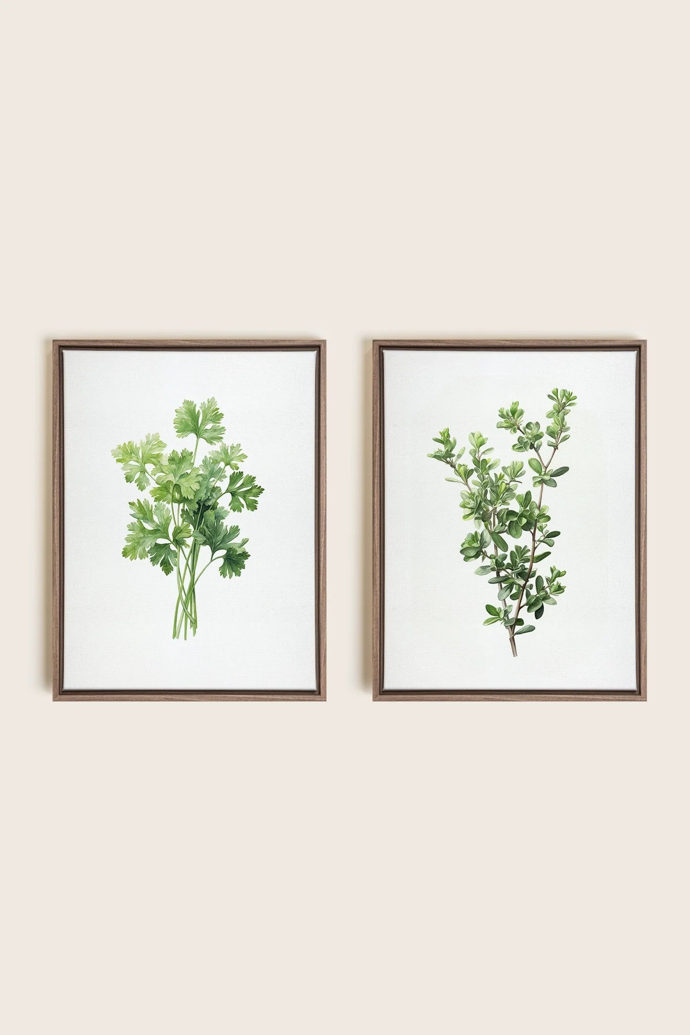 DUO FINES HERBES, 2 Oeuvres sur toile étirée, encadré Brun Chêne