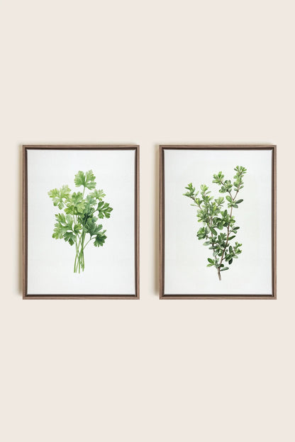 DUO FINES HERBES, 2 Oeuvres sur toile étirée, encadré Brun Chêne