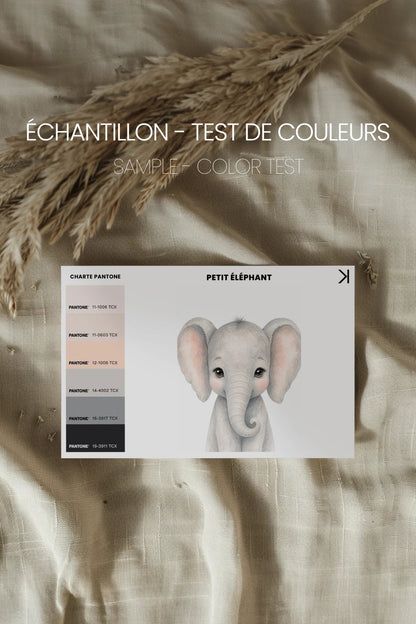 PETIT ÉLÉPHANT, Oeuvre sur toile rigide, encadré brun chêne