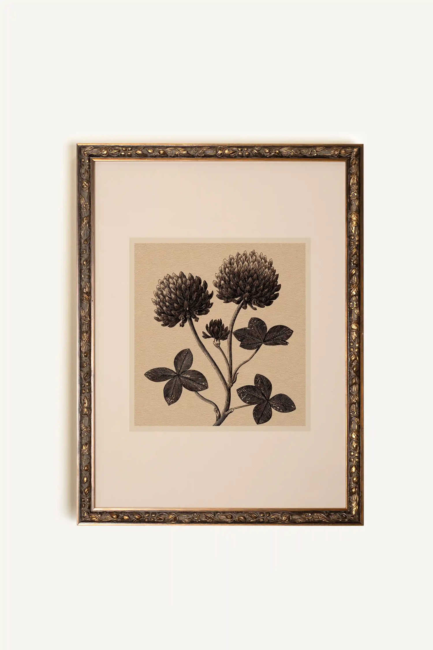 FIELD RELIC, Oeuvre sur toile étirée, encadré Vintage Bronze
