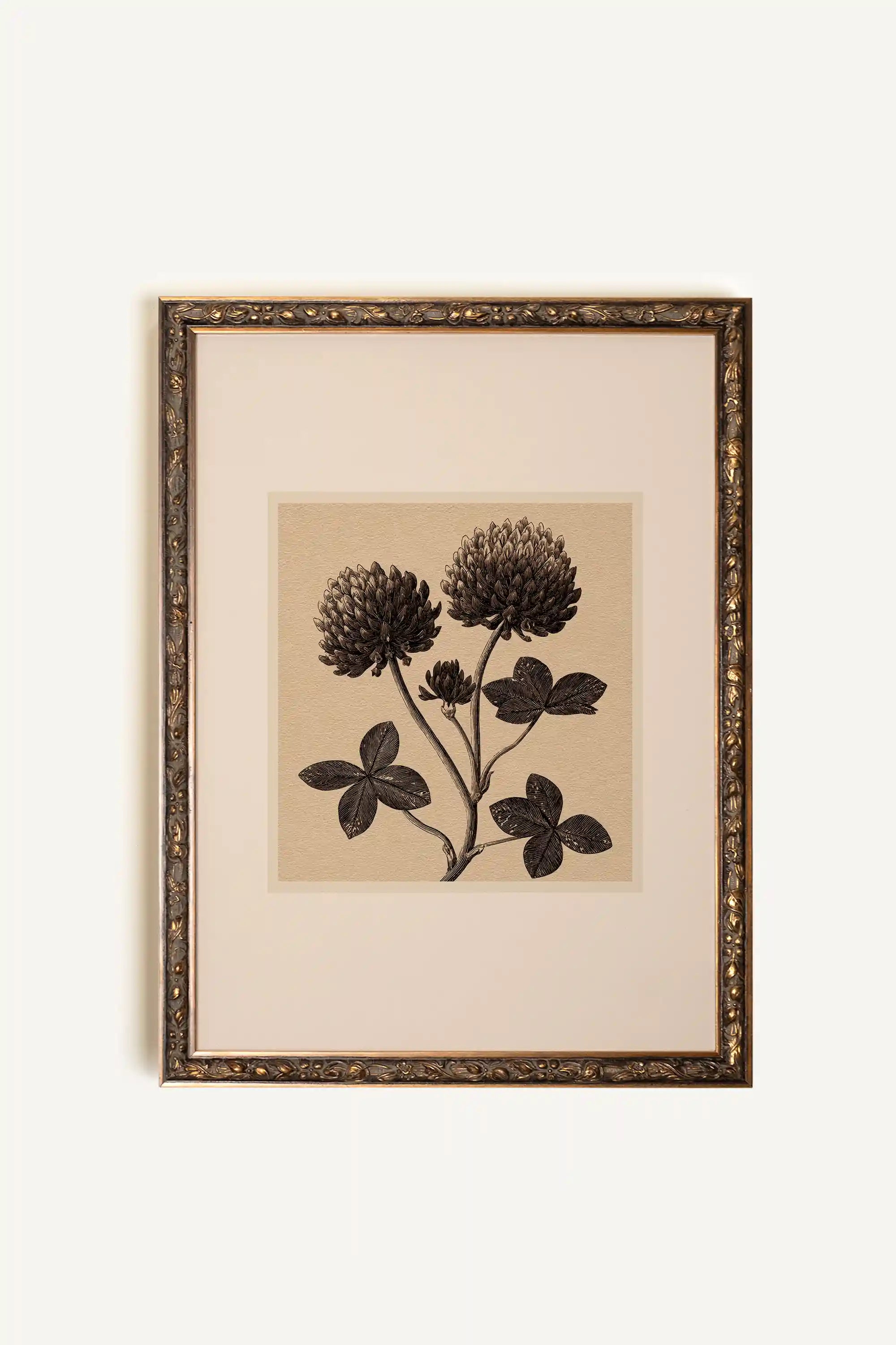 FIELD RELIC, Oeuvre sur toile étirée, encadré Vintage Bronze