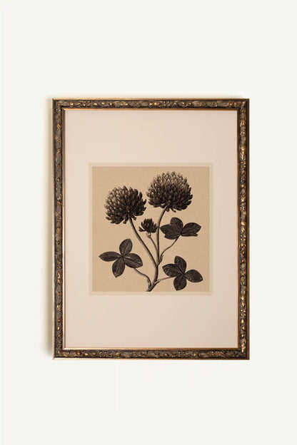 FIELD RELIC, Oeuvre sur toile étirée, encadré Vintage Bronze