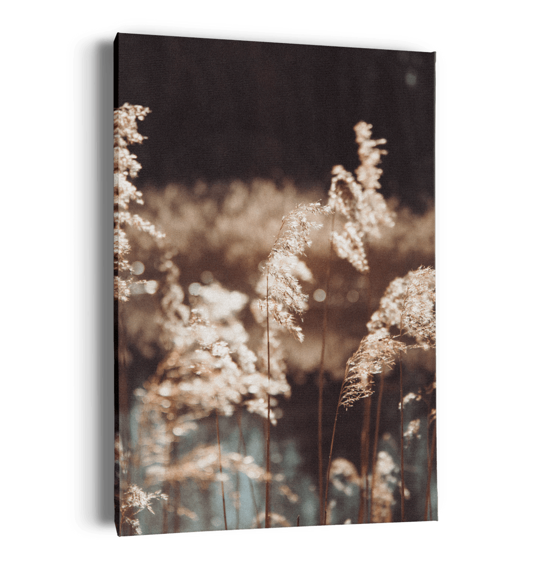 Fields&amp;Contrast, oeuvre sur toile étirée