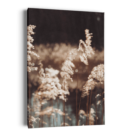 Fields&Contrast
