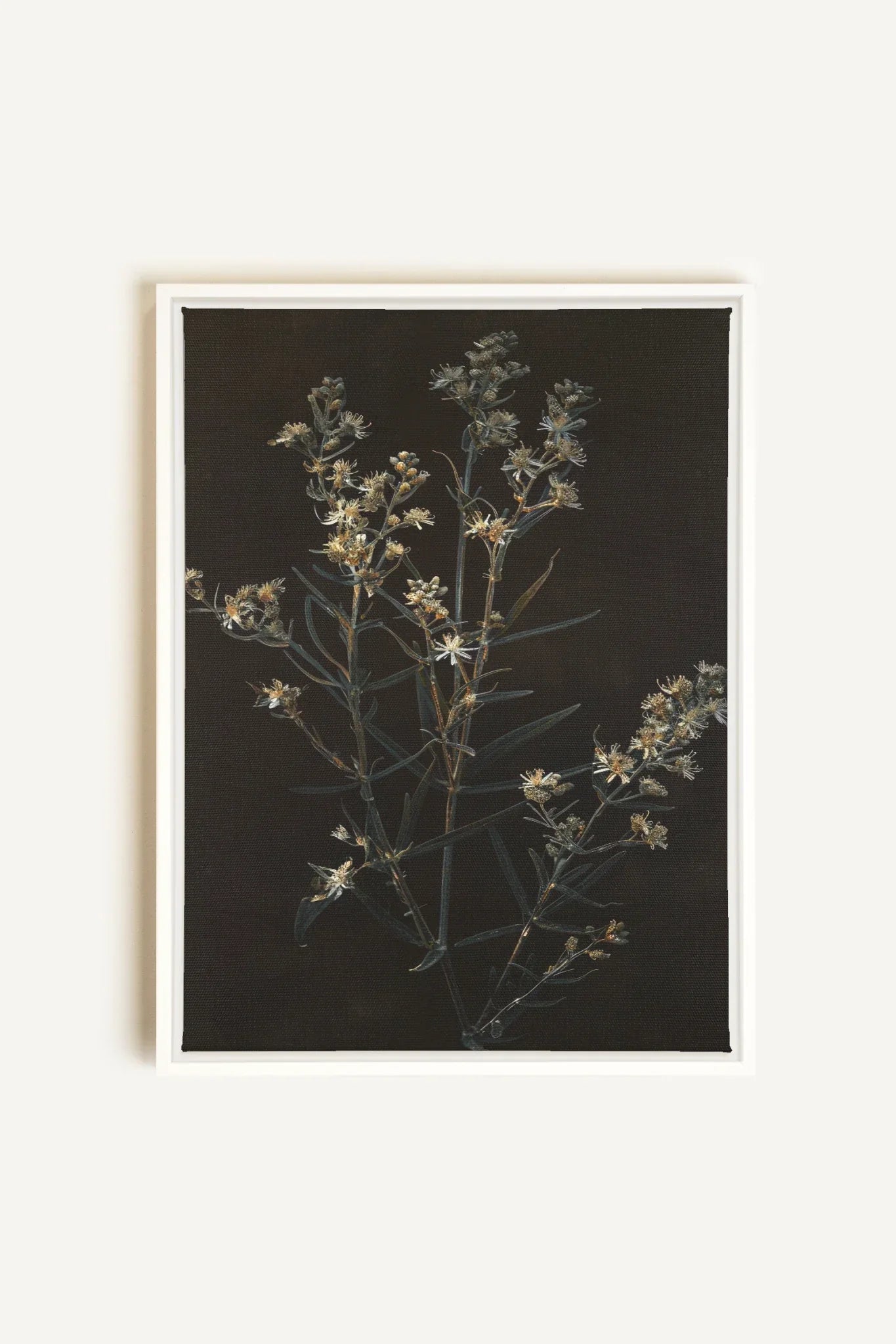 OLEKA CANVAS - FLEUR D&