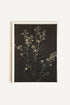 OLEKA CANVAS - FLEUR D&