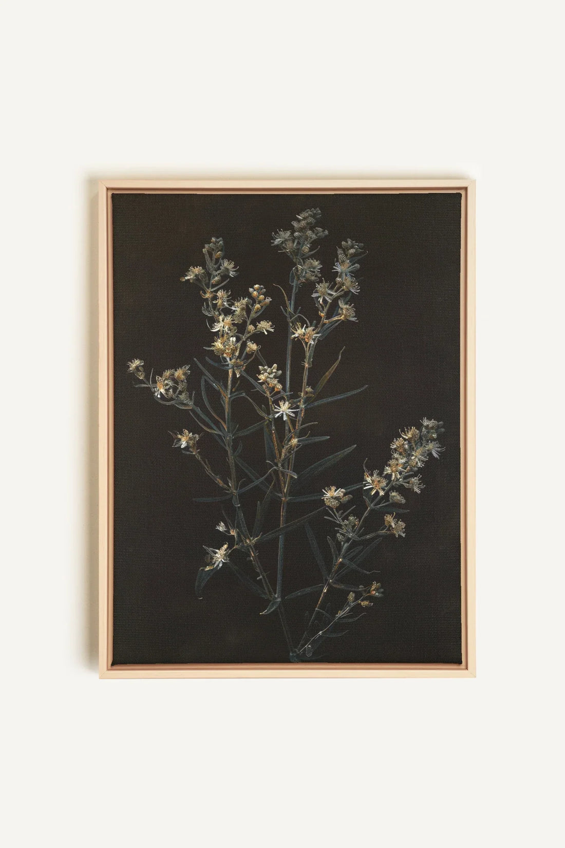 OLEKA CANVAS - FLEUR D&