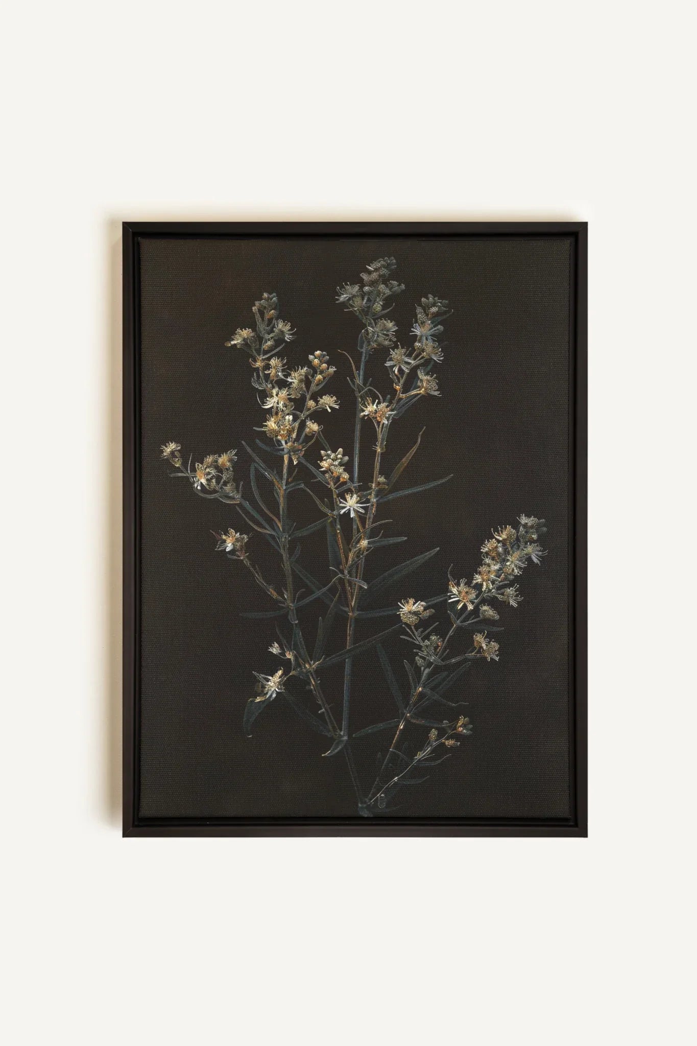 OLEKA CANVAS - FLEUR D&