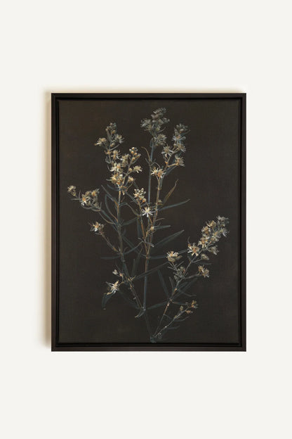 OLEKA CANVAS - FLEUR D&